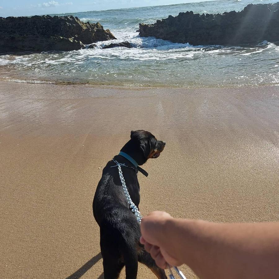 Paradise Chales Beira Mar 巴拉多库努 外观 照片